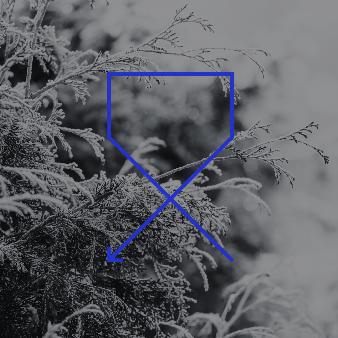 Maximize Q1 Campaigns with Reklaim’s Seasonal Opt-In Data & DealIDs